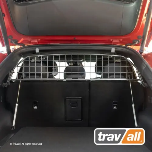 Vain Tänään Koiraverkko autoon - Kia EV6 (2021➟), Travall 🙂