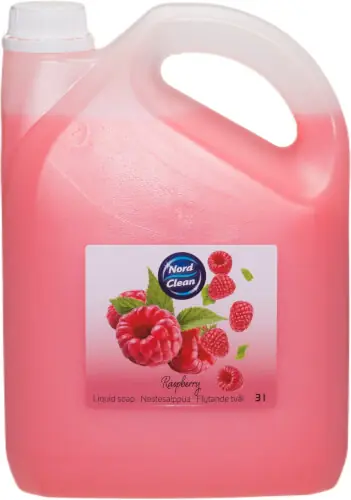 Nestesaippua 3 L, Nord Clean đ Flash-Tarjous