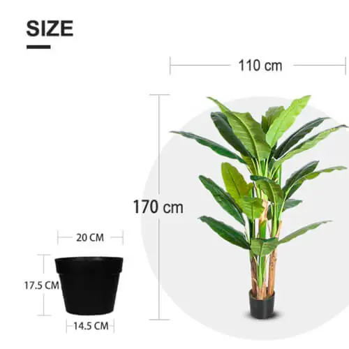 Tekobanaanipuu 170 cm, Lykke đ Kampanjahinta