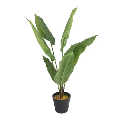 Superhinta Tekokasvi Peace Lily 105cm, Lykke đ