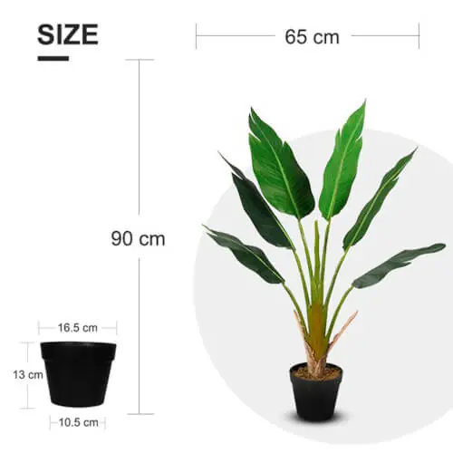 Tekokasvi Strelitzia Tree 90 cm, Lykke đ Kampanjahinta