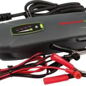Vain Tänään Akkulaturi Eco 4.0, 12 V, Benton 🙂