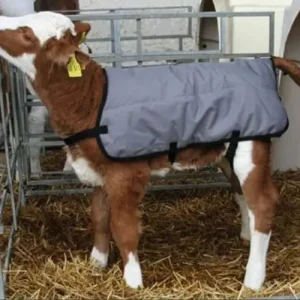 Vasikan loimi 80 cm, Kerbl 🙂 Vain Tänään