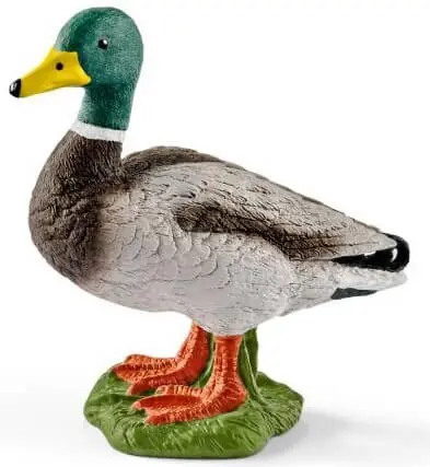 Sorsa uros, Schleich đ Löytö