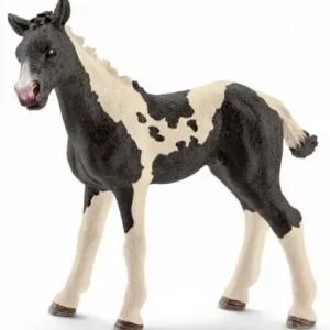 Ajankohtainen Pinto varsa, Schleich 🙂